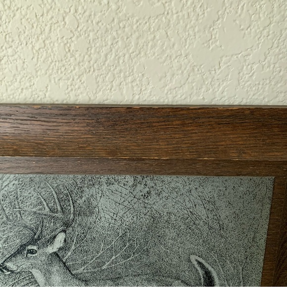 Framed Deer Etching Art - Picture 8 of 8